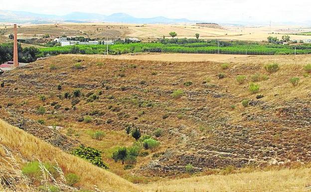 Proyectan la restauración ecológica del antiguo vertedero del Peñigoso