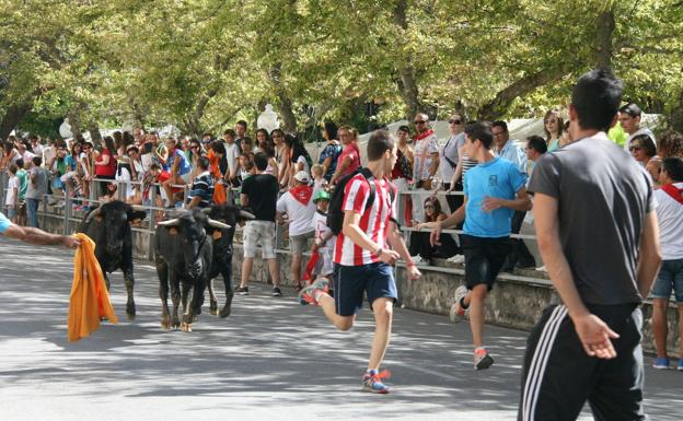 Cuéllar contará con un encierro de novillos durante la tarde-noche del miércoles 31 de agosto