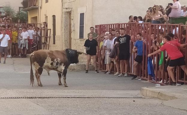 Cientos de personas asisten en Tiedra al Toro del Castillo