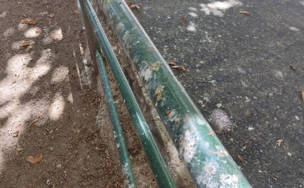 El PP pide reforzar el servicio de limpieza para eliminar con rapidez los excrementos de aves