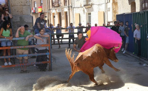 Villarramiel vive con intensidad sus fiestas alrededor de los toros