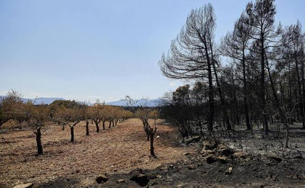 El incendio de Bejís, al fin estabilizado