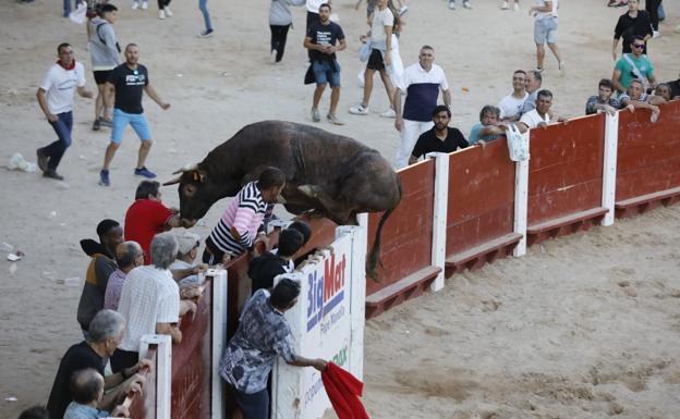 «No tuve miedo porque nunca había visto un toro, pero lo peor es que he perdido un trabajo»