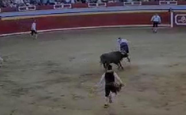 César Ramos sufre una cogida durante el concurso de cortes de Pedrajas de San Esteban (Valladolid)