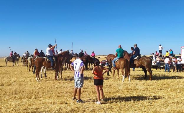 Un animado encierro por el campo pone fin a las fiestas del Ofrecimiento de Tiedra