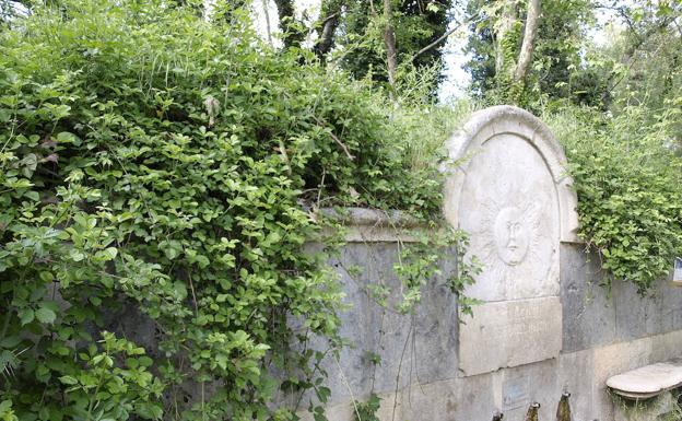 Una propietaria dona una héctarea en Fuente El Sol que permitirá avanzar en la mejora del parque forestal