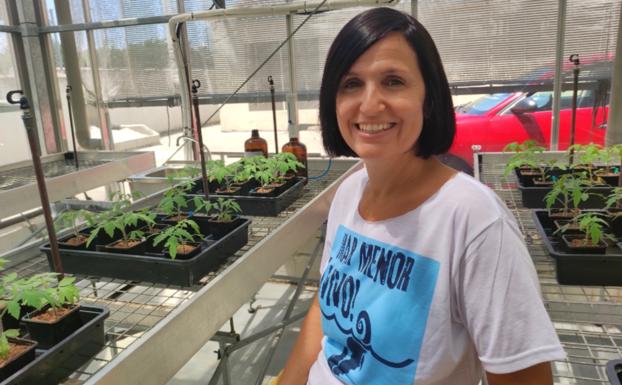 Investigadores de Salamanca trabajarán para obtener plantas más resistentes a las plagas de insectos