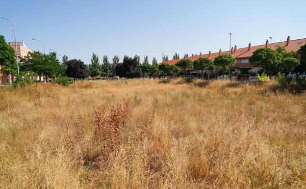 El Ayuntamiento desbroza y limpia más de 317.000 metros cuadrados de solares municipales