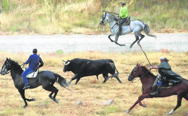 Un ritual que llena el campo y las calles