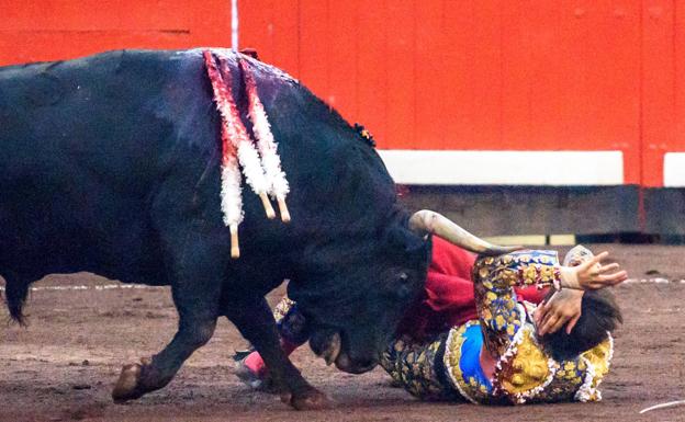 Palencia y Valladolid, pendientes de Roca Rey tras su cogida en Bilbao