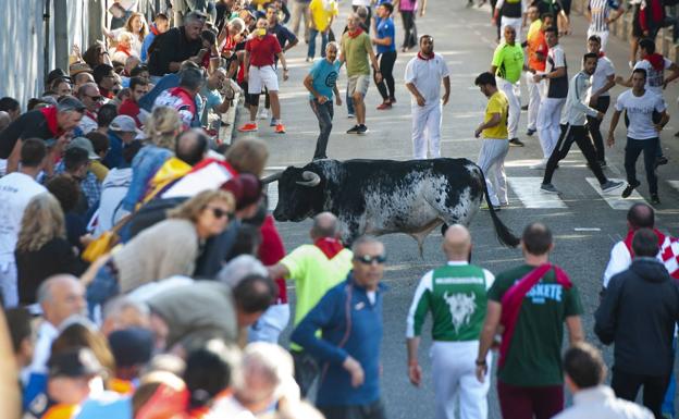 Recomendaciones para disfrutar de los encierros de Cuéllar