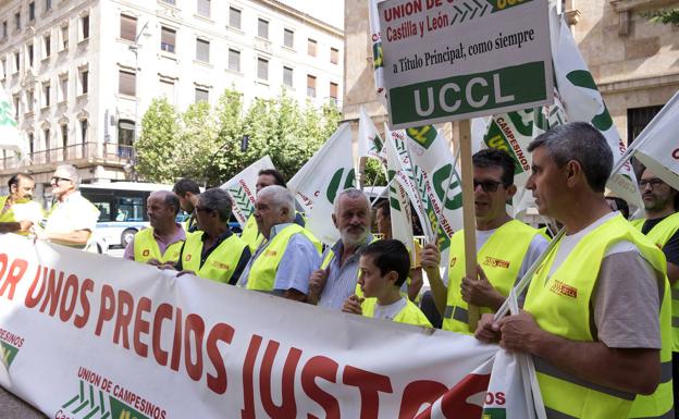 UCCL advierte en Salamanca del riesgo de «desabastecimiento» de productos y de «precios imposibles»