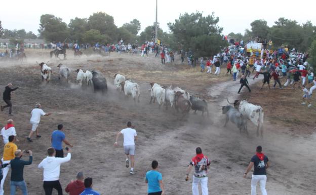 Evoluciona de forma favorable 'Chumi', el corredor corneado en el encierro de Cuéllar