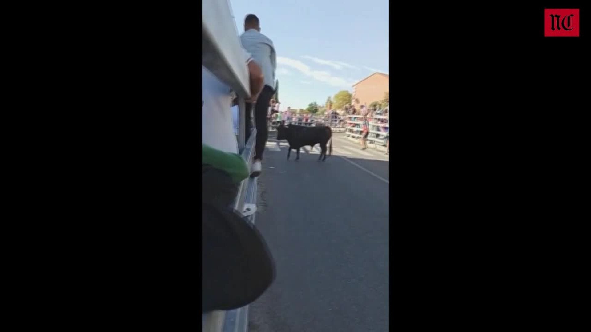 Un buey aplasta a uno de los corredores del encierro de Medina del Campo
