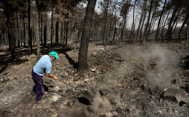 La Junta da por extinguido el fuego de Monsagro casi dos meses después de su comienzo