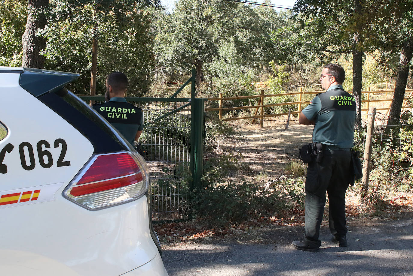 Sigue la búsqueda: sin noticias del toro desaparecido en Valsaín