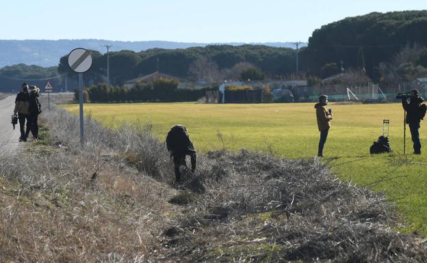 Balística investiga nueve microlesiones en la mano derecha de Esther López «no compatibles con el atropello»