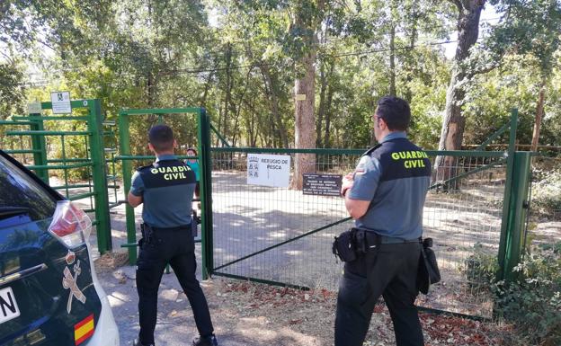 Buscan a un toro desaparecido durante los encierros de Valsaín