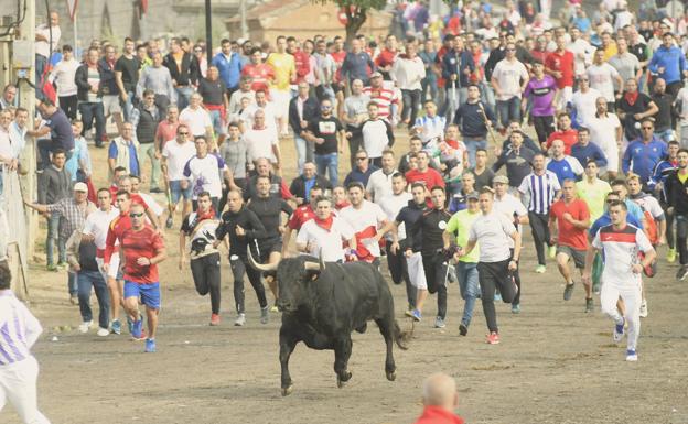 La puya que puede ser definitiva contra el torneo de Tordesillas