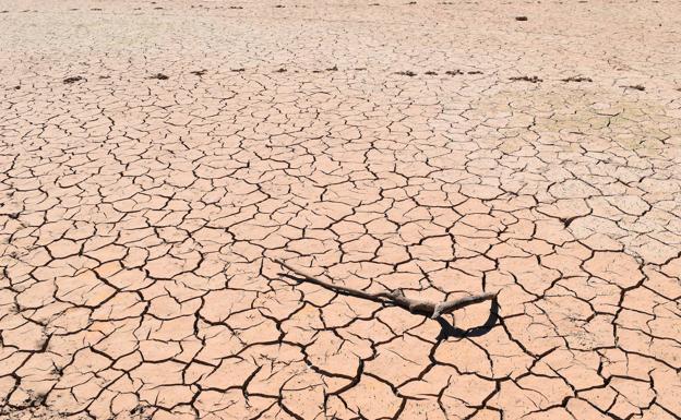 La amenaza de una sequía sostenida