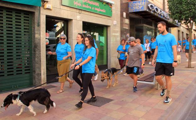 Las mascotas también se van de marcha