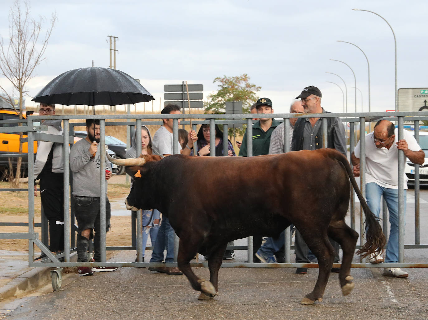 Astudillo celebra el Toro del Pueblo