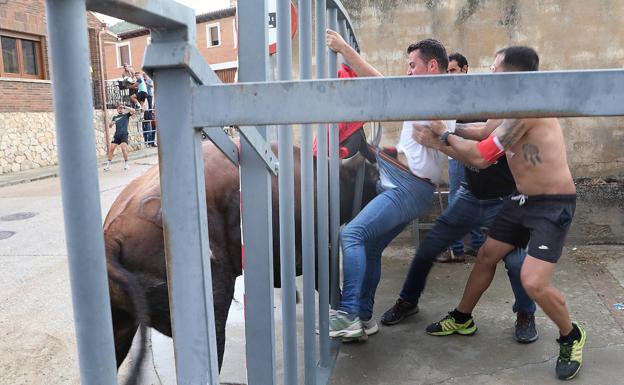 Se salva de milagro de una cornada tras engancharle un toro por el cinturón