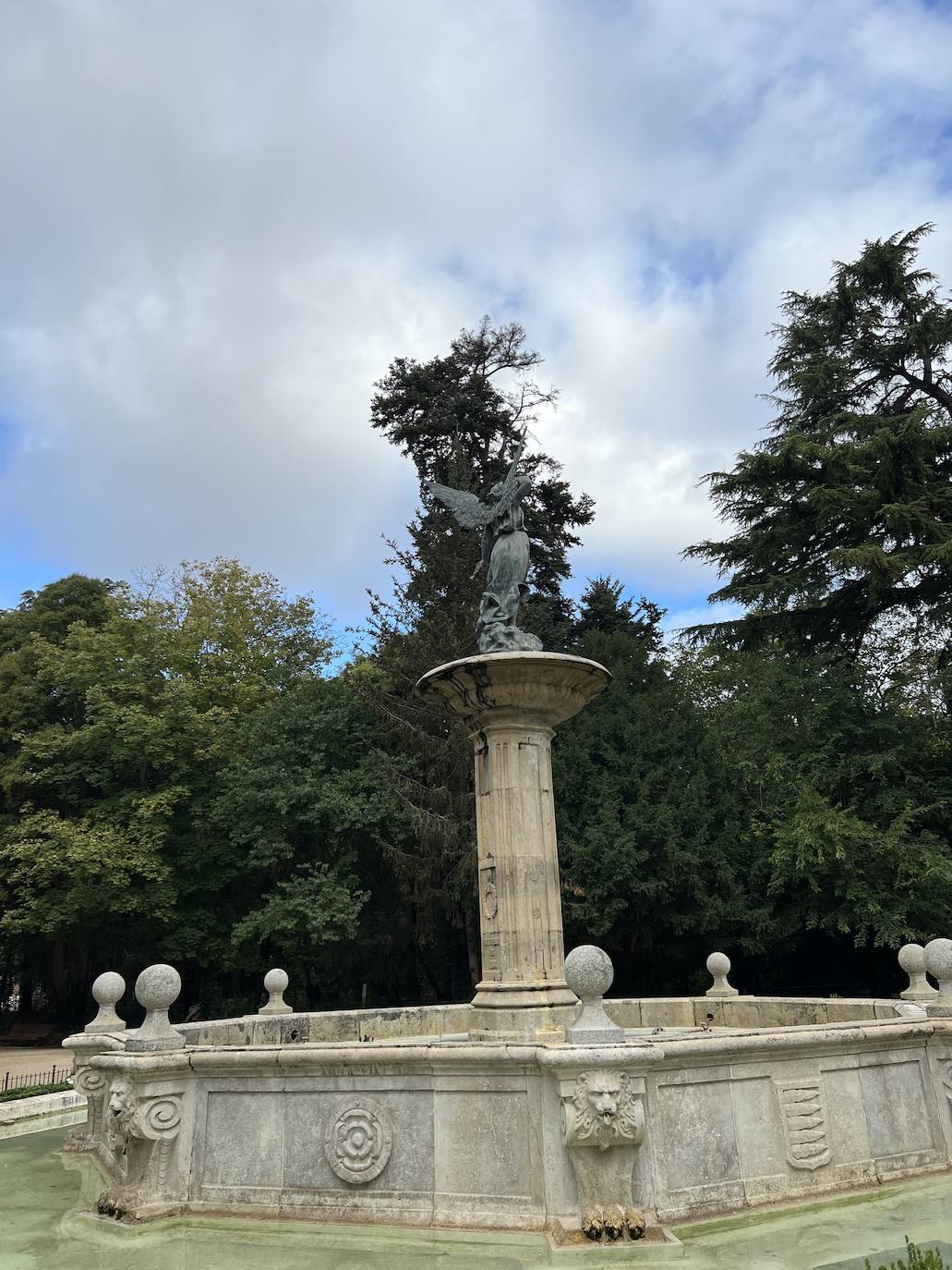 Los árboles singulares de Valladolid, en imágenes