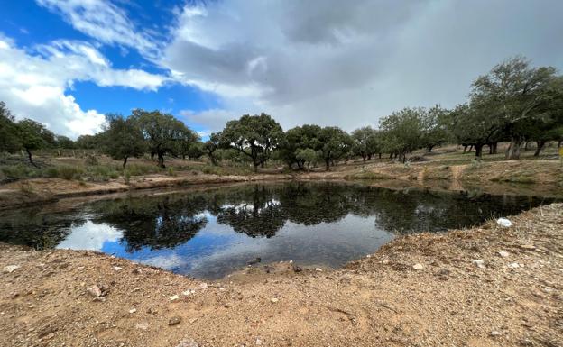 Las tormentas cargan charcas y animan siembras aunque con mucha diferencia entre zonas