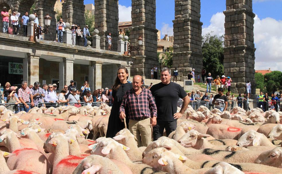 Un Nobel inunda de ovejas el Azoguejo