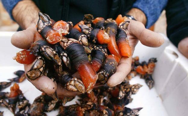 Todo un lujo culinario