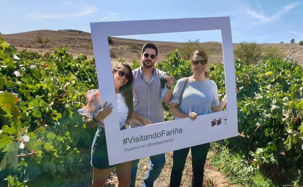 Fariña organiza tres jornadas para conocer la bodega en vendimia