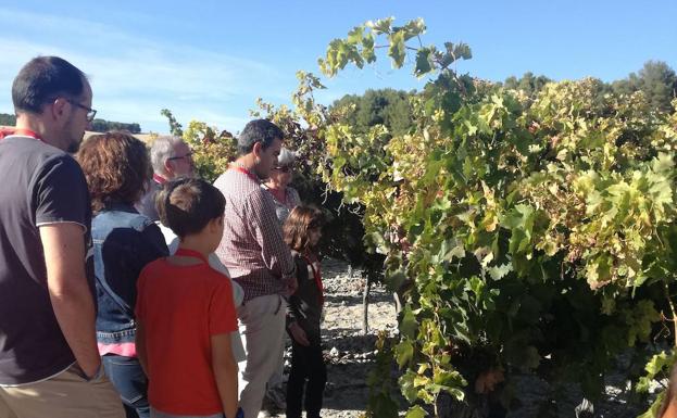 Mucientes retoma su tradicional Vendimiario