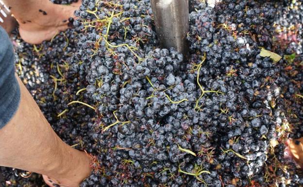 La inflación bloquea la recuperación de las cifras del mercado del vino