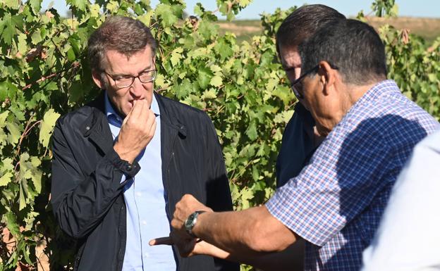 Feijóo anima al «consumo moderado» de vino en una visita con Mañueco a la Ribera del Duero