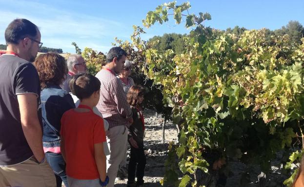 Mucientes invita a conocer la vendimia, la elaboración del vino, las tradiciones y las leyendas