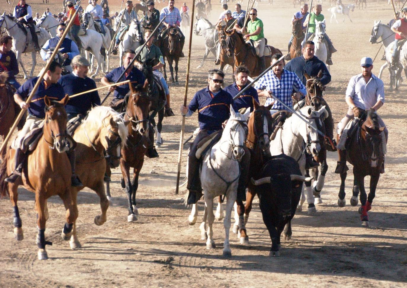 Olmedo centra en los toros el programa festivo de San Miguel y San Jerónimo