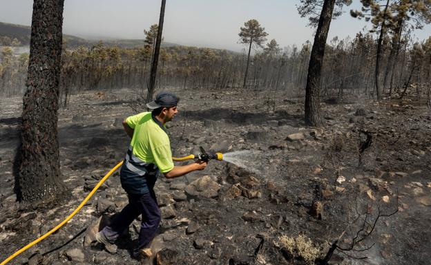 Monsagro celebra este sábado un homenaje a los que trabajaron en el incendio