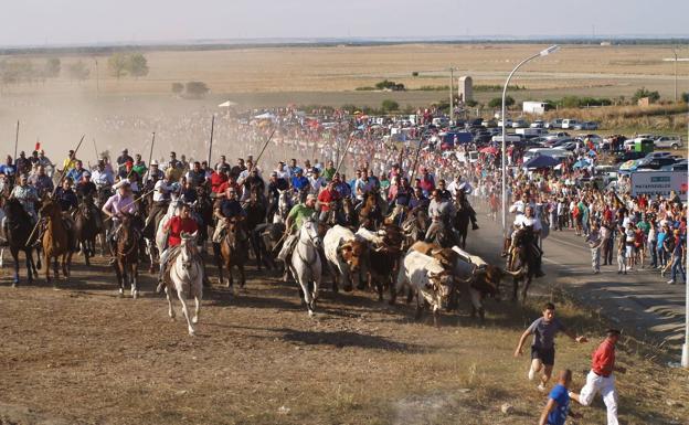 Amigos de los Encierros de Olmedo abre la convocatoria para participar en su XVII Concurso Fotográfico