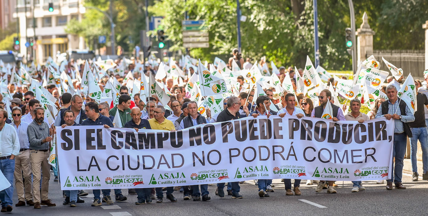 Agricultores y ganaderos ocupan las calles de Valladolid para «salvar al sector»