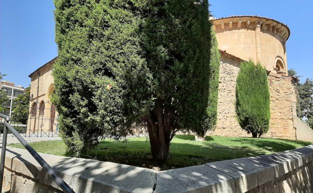 Medio Ambiente elimina el pipicán de Santo Tomás