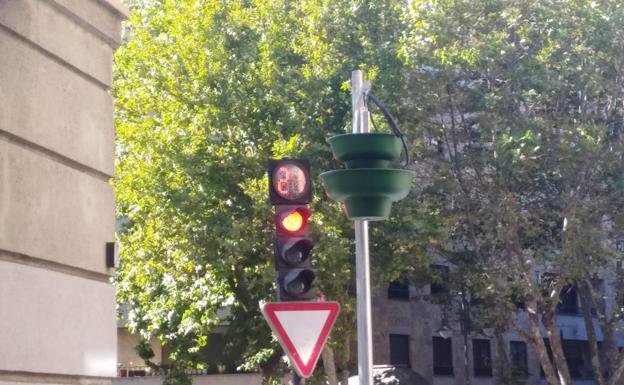 Los jardines verticales de Álvaro Gil: lo que cuesta dar un toque 'verde' a una calle