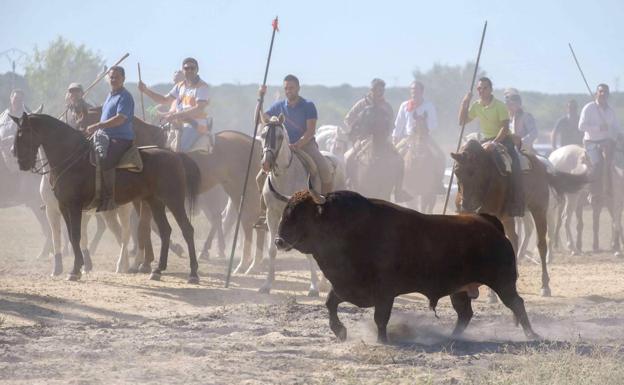 No es por los toros