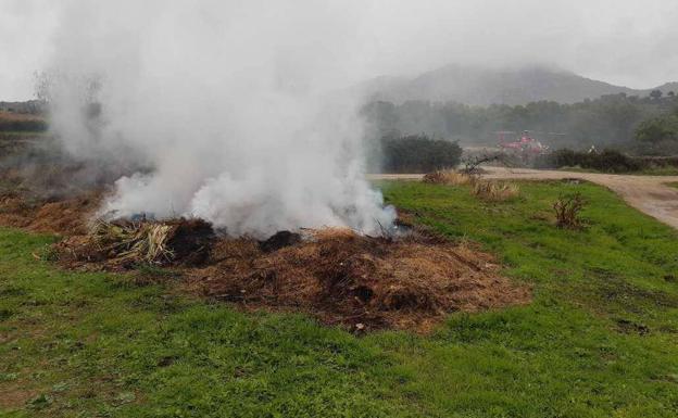 Un helicóptero y dos cuadrillas para sofocar un incendio en El Tejado