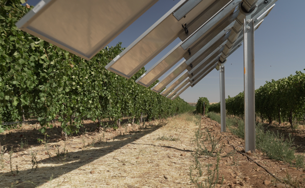 Instalada en Toledo la primera planta agrovoltaica inteligente de España