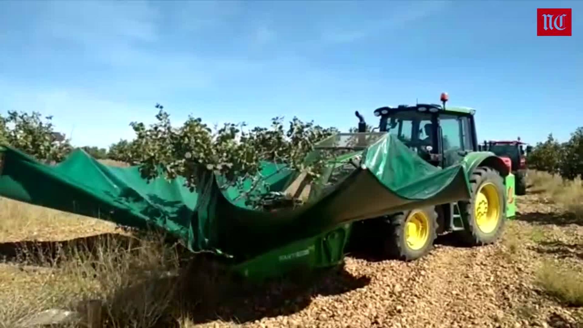 El interés por el pistacho no deja de crecer en Castilla y León