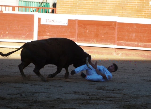 Use sufre un revolcón durante el concurso de cortes de Mojados (Valladolid)