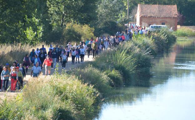Setecientas personas participan en la Marcha de la Fundación San Cebrián
