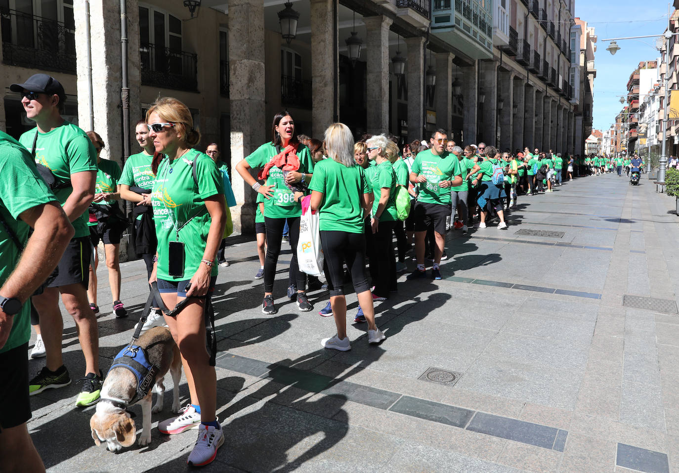 Carrera contra el cáncer en Palencia