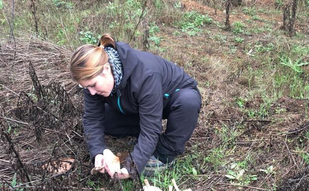 La Mejor Agricultora Ecológica de Europa está en Palencia y se dedica a las setas